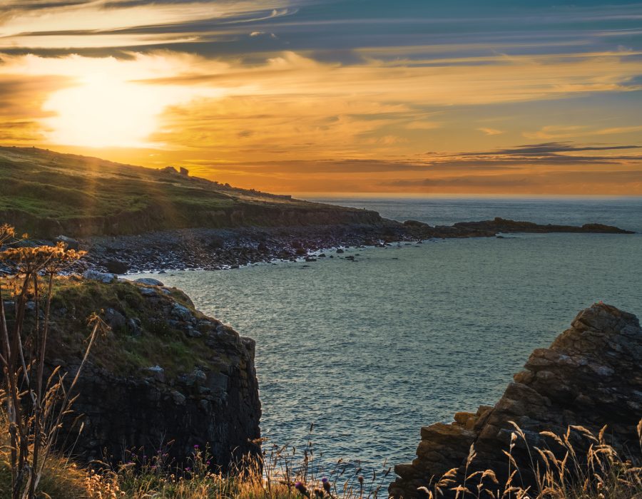 View of sunset in rugged coastal area with sunrays lighting the hill in background and rocks with dry plants in foreground; colorful sky
